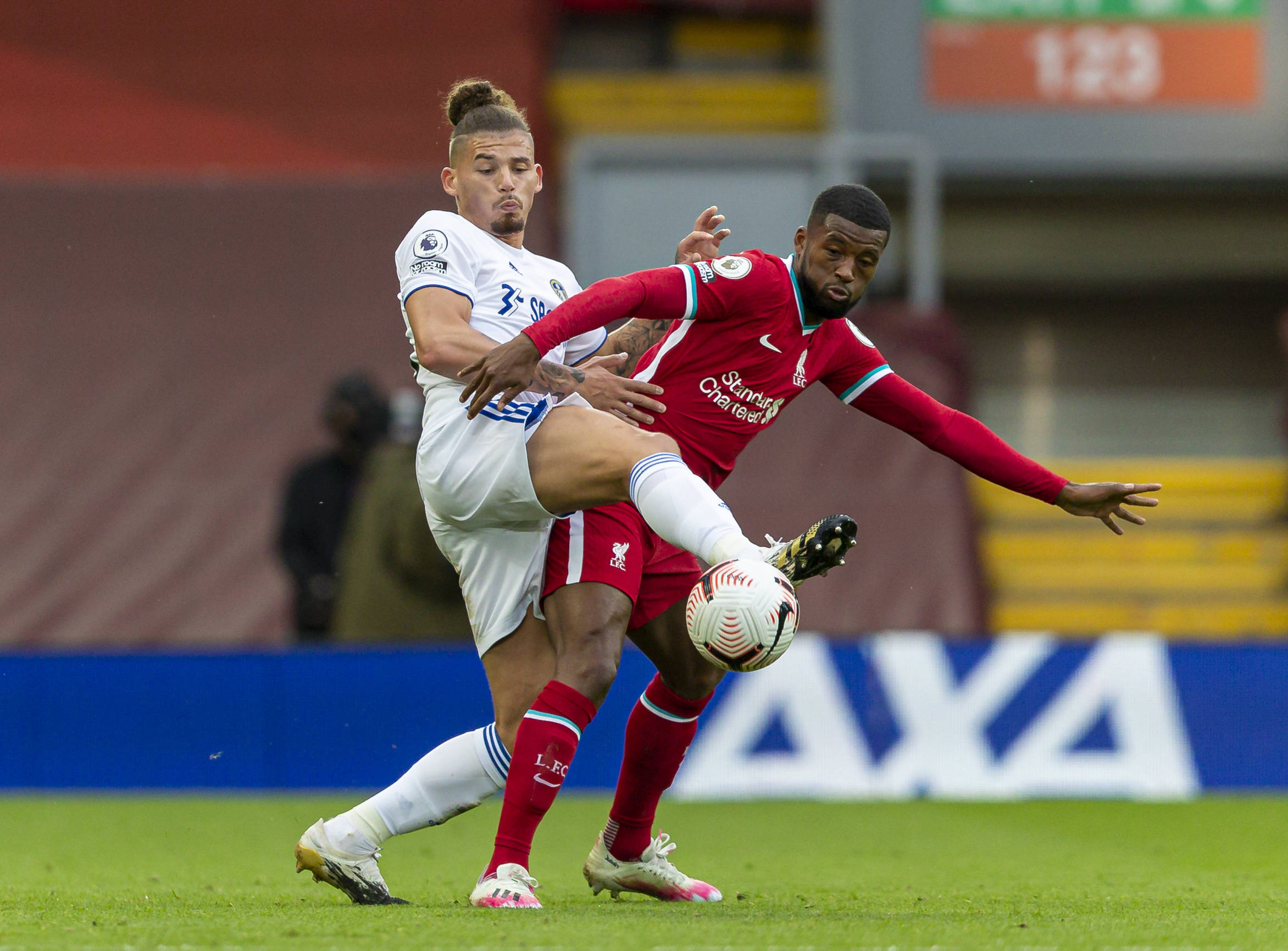 加维补充道 加维补充道